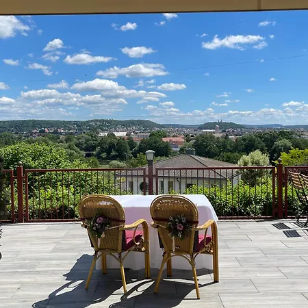 Hotel Ziegelhuette 3*