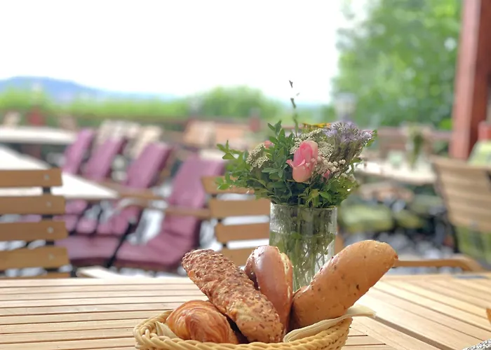 Hotel Ziegelhuette